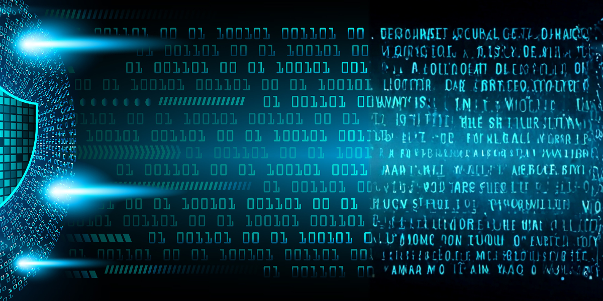 Security shield with lock